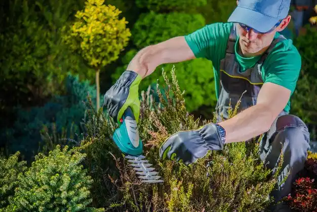 landscaping services Shreve